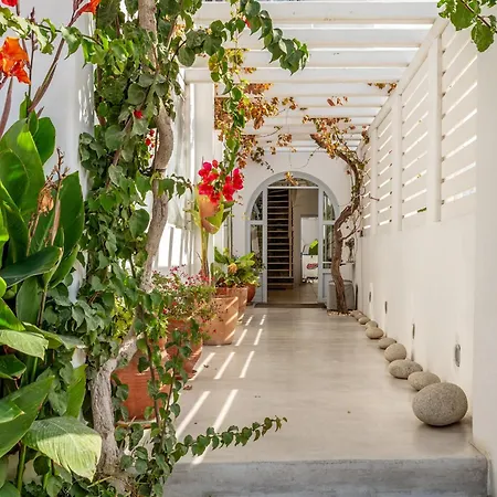 公寓式酒店 Livadia B Páros